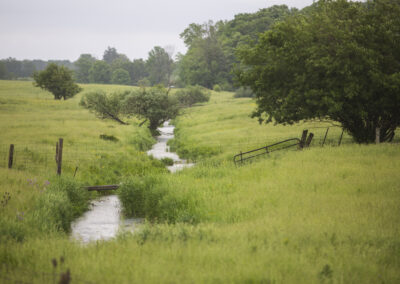Photo of a creek running through a field