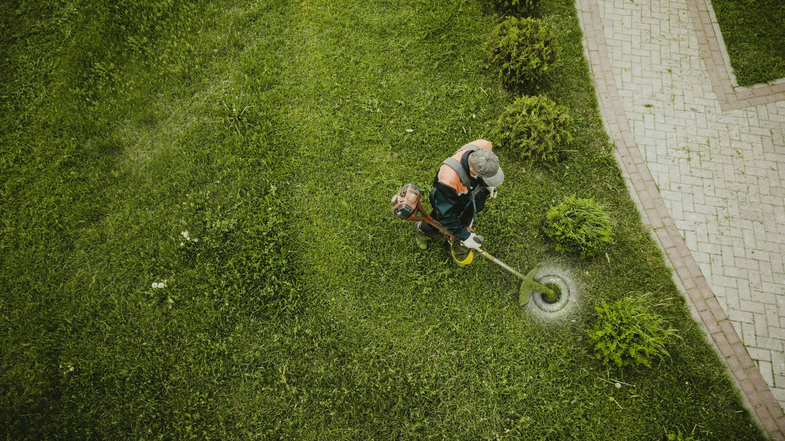 Property Services Lawn Care
