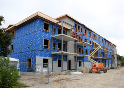 Gibbons in development