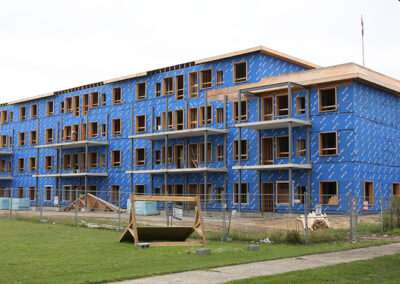 Gibbons in development