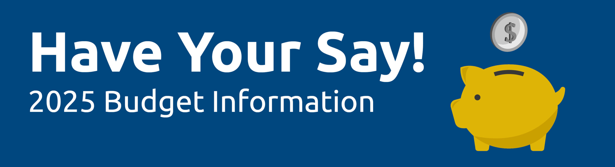 Budget Infographics_banner 2025 Budget Information Banner